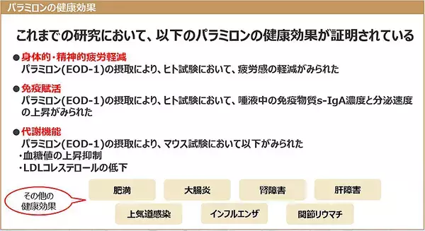 「パラミロン EOD-1 が「腸ツボ」を刺激し疲労感を軽減、神経系 免疫系 内分泌系が活性化する仕組みを知る」の画像