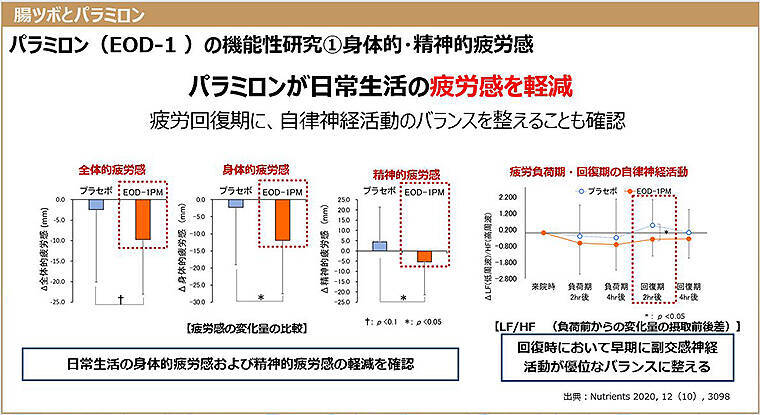 パラミロン EOD-1 が「腸ツボ」を刺激し疲労感を軽減、神経系 免疫系 内分泌系が活性化する仕組みを知る