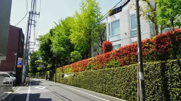 「中井は曽遊の地です【駅ぶら04】新宿線13」の画像