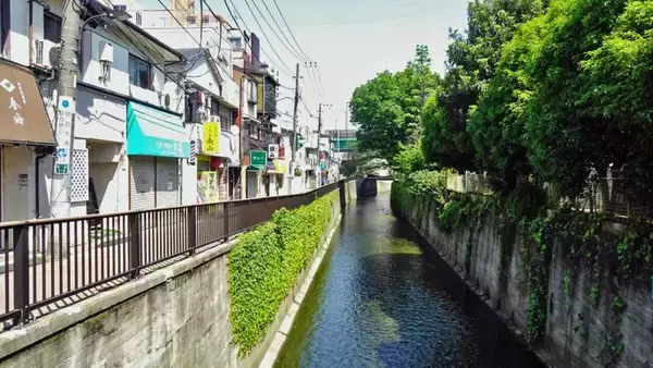 「中井は曽遊の地です【駅ぶら04】新宿線13」の画像