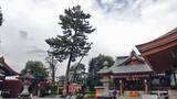 「変身中の沼袋駅です【駅ぶら04】新宿線19」の画像14