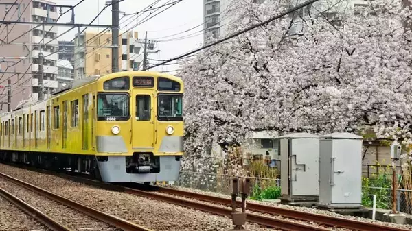 西東京市に慣れていないのです【駅ぶら04】新宿線41