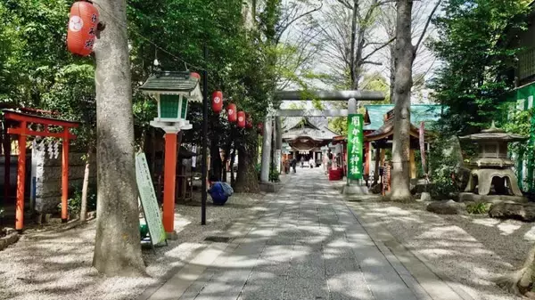 「田無神社　見応えありますよ！【駅ぶら04】新宿線50」の画像
