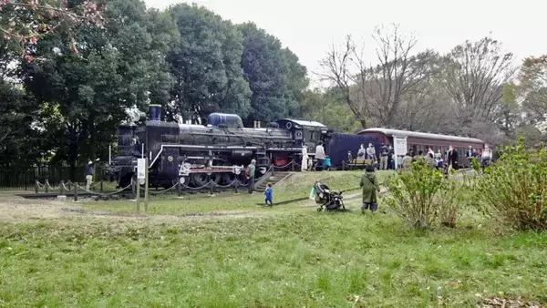 「小金井公園の桜【駅ぶら04】新宿線54」の画像