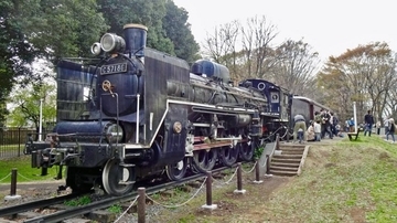小金井公園の桜【駅ぶら04】新宿線54
