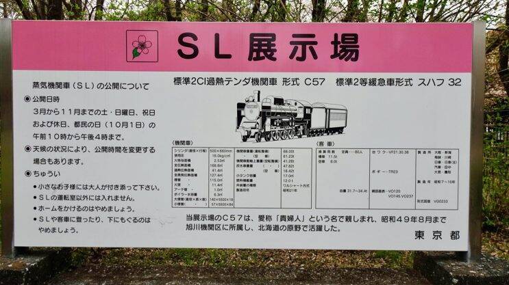 小金井公園の桜【駅ぶら04】新宿線54