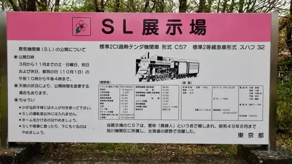 「小金井公園の桜【駅ぶら04】新宿線54」の画像