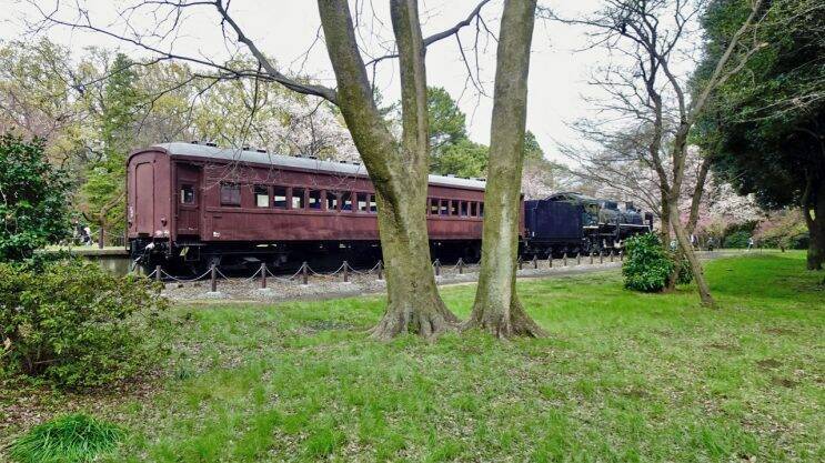 小金井公園の桜【駅ぶら04】新宿線54