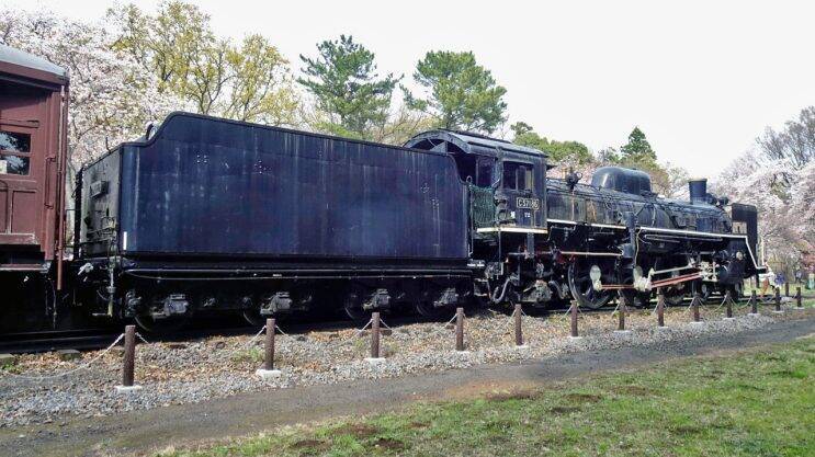 小金井公園の桜【駅ぶら04】新宿線54