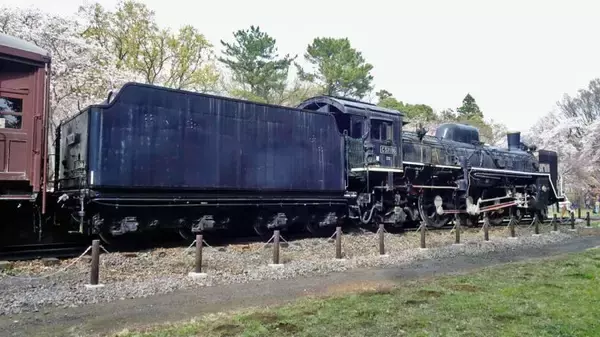 「小金井公園の桜【駅ぶら04】新宿線54」の画像