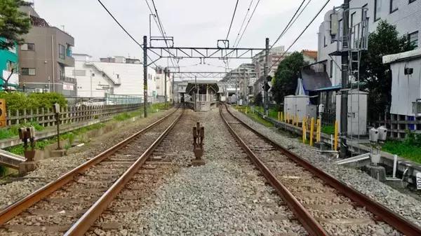 「小金井公園の桜【駅ぶら04】新宿線54」の画像