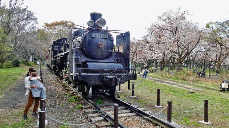 小金井公園の桜【駅ぶら04】新宿線54