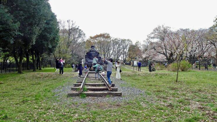 小金井公園の桜【駅ぶら04】新宿線54