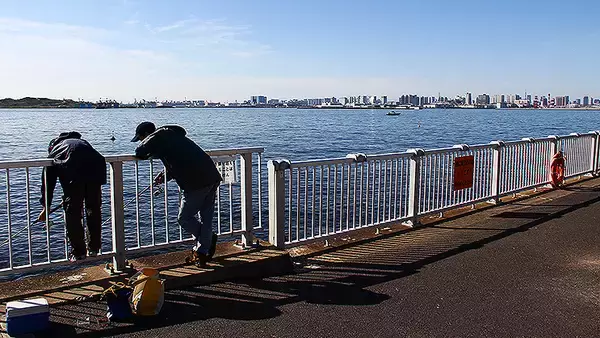 「東京ゲートブリッジから新木場車両基地や荒川橋梁へ、東京湾360度ベイビューおさんぽ時間」の画像