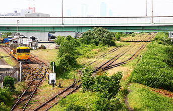 シートレインランドの北側にいるキヤ97系