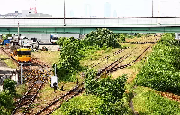 シートレインランドの北側にいるキヤ97系