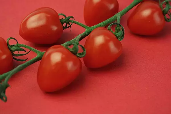 「函館で朝収穫し北海道新幹線で大宮へ直送！ そごう大宮店で朝どりはやぶさコーン8/13.14.15販売」の画像