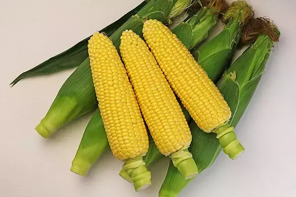 「函館で朝収穫し北海道新幹線で大宮へ直送！ そごう大宮店で朝どりはやぶさコーン8/13.14.15販売」の画像