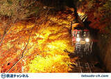 「嵯峨野観光鉄道はこの秋さらにキラキラ「光の幻想列車」新設！」の画像1