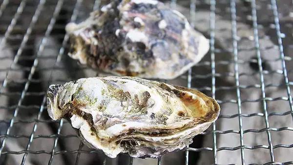 「JR筑肥線 今宿駅から分岐していた専用線の先にもうひとつの鉄道があった!?」の画像