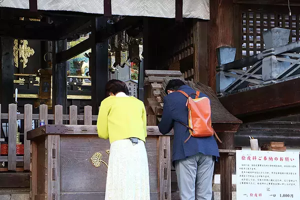 「嵯峨野観光鉄道トロッコ列車 絶好シーズン！「おとな旅あるき旅」11/6オンエア回でも登場」の画像