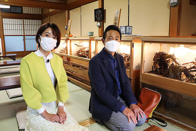 嵯峨野観光鉄道トロッコ列車 絶好シーズン！「おとな旅あるき旅」11/6オンエア回でも登場