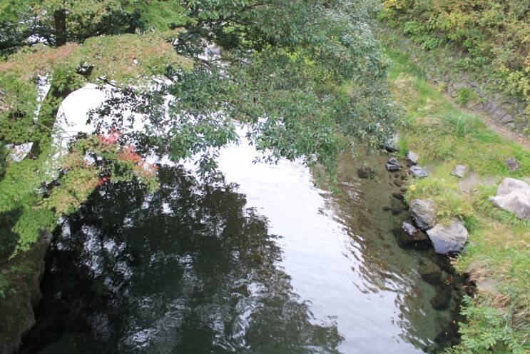 叡山電車の混雑具合と八瀬比叡山口の紅葉の色づき具合＿11月6日 土曜日