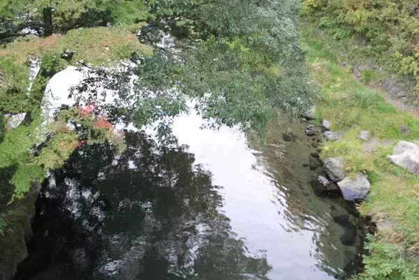 「叡山電車の混雑具合と八瀬比叡山口の紅葉の色づき具合＿11月6日 土曜日」の画像