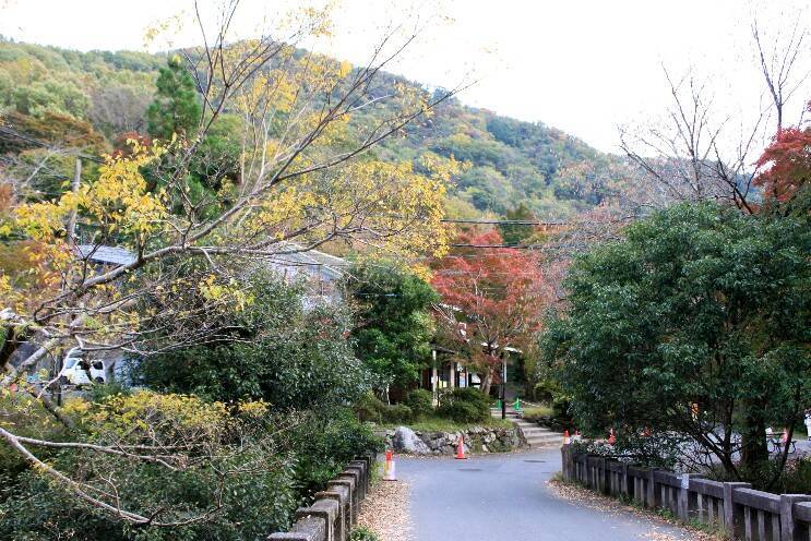 叡山電車の混雑具合と八瀬比叡山口の紅葉の色づき具合＿11月6日 土曜日