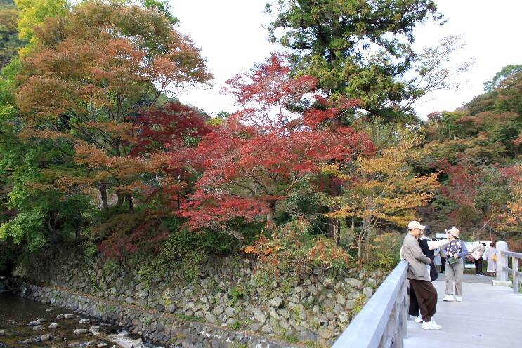 叡山電車の混雑具合と八瀬比叡山口の紅葉の色づき具合＿11月6日 土曜日