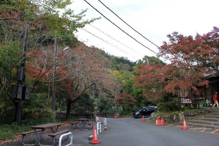 叡山電車の混雑具合と八瀬比叡山口の紅葉の色づき具合＿11月6日 土曜日