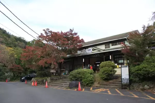 「叡山電車の混雑具合と八瀬比叡山口の紅葉の色づき具合＿11月6日 土曜日」の画像