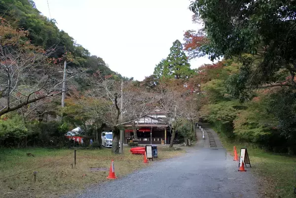 「叡山電車の混雑具合と八瀬比叡山口の紅葉の色づき具合＿11月6日 土曜日」の画像