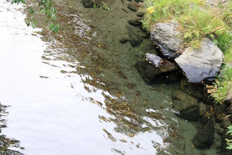 叡山電車の混雑具合と八瀬比叡山口の紅葉の色づき具合＿11月6日 土曜日