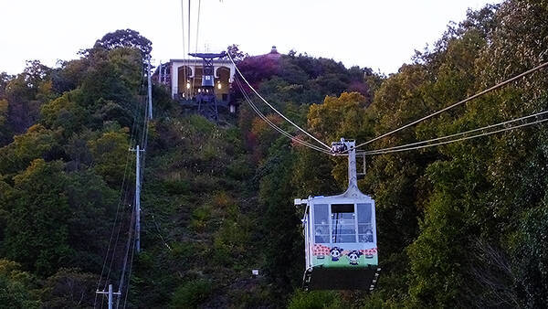 まだみたことない琵琶湖の景色へ 絶景ゆき八幡山ロープウェーで滋賀 近江八幡を上空から歴史さんぽ 猫ちゃんたちも待ってた 21年11月17日 エキサイトニュース