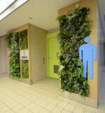 「経堂駅構内が緑化？！２８日からは桜の装飾も」の画像3