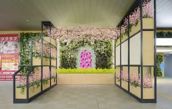 「経堂駅構内が緑化？！２８日からは桜の装飾も」の画像