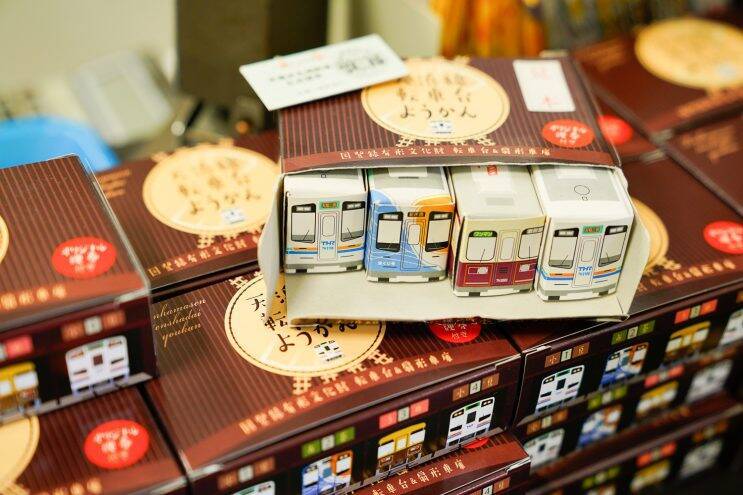 天竜浜名湖鉄道「洗って！回って！列車でGO！」を体験してきました！【その1】