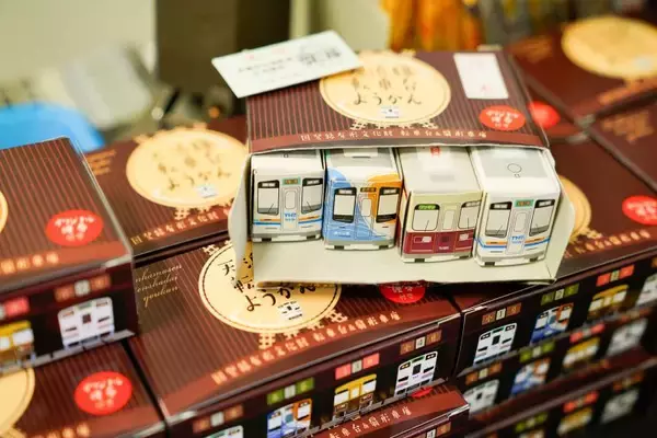 「天竜浜名湖鉄道「洗って！回って！列車でGO！」を体験してきました！【その1】」の画像