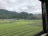 「大井川鐵道「きかんしゃトーマス」プレスデーに参加してきました！」の画像14