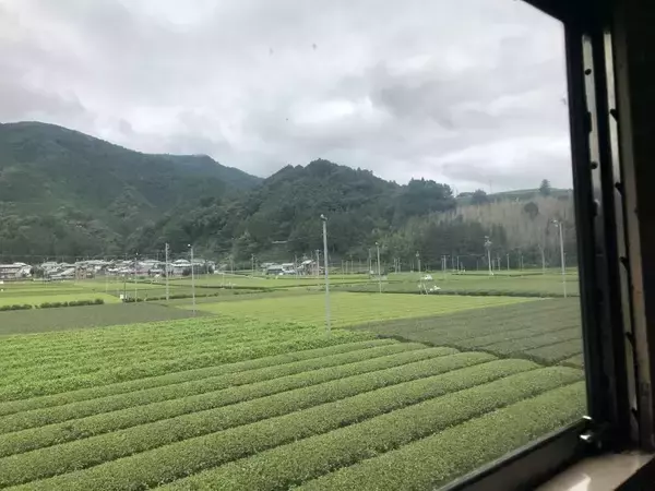 「大井川鐵道「きかんしゃトーマス」プレスデーに参加してきました！」の画像