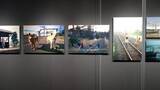 「あらためて鉄道写真家真島満秀の視た世界を観る」の画像5
