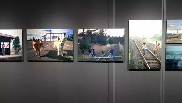 「あらためて鉄道写真家真島満秀の視た世界を観る」の画像