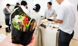 「最高級だけど300円！ 海苔がうまいと手巻き寿司が銀座料亭クラスに＿ニコニコのり「ジャパンプレミアム」に驚愕！」の画像8