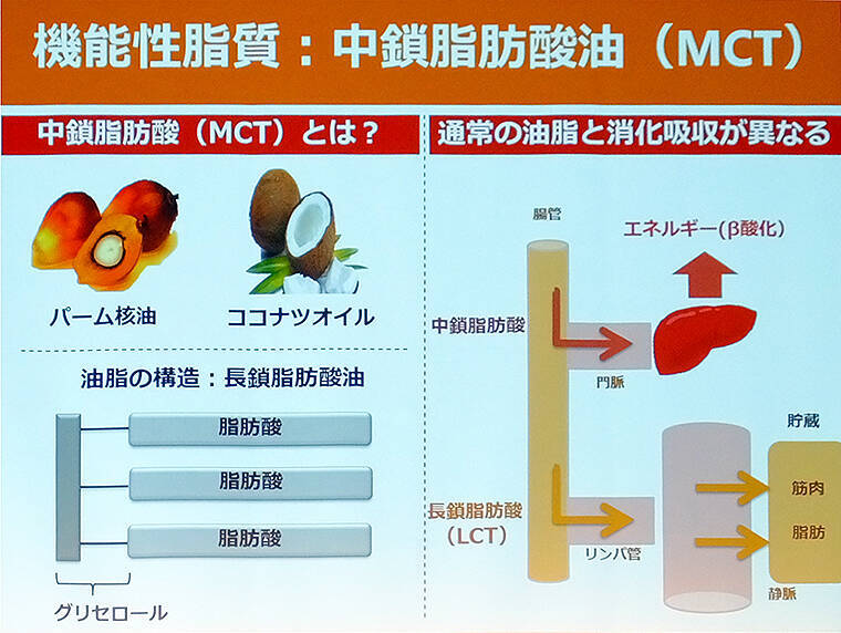 ダイエットや美ボディにいまMCTオイル！ 内田理央や長友佑都も愛用するその機能とは？
