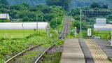 「ホームが蒲鉾板の様に反ってる　水郡線全駅18【50代から始めた鉄道趣味】207」の画像8