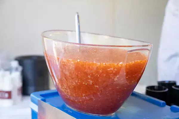 「日本各地の魚介料理が集結！日比谷公園で開催中の「全国魚市場＆魚河岸まつり」おすすめ店舗をご紹介」の画像