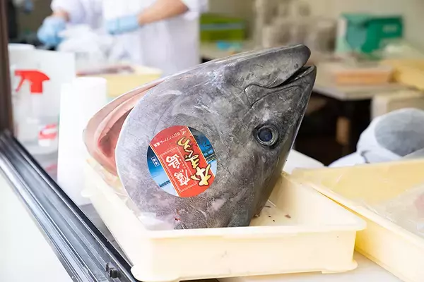 「日本各地の魚介料理が集結！日比谷公園で開催中の「全国魚市場＆魚河岸まつり」おすすめ店舗をご紹介」の画像