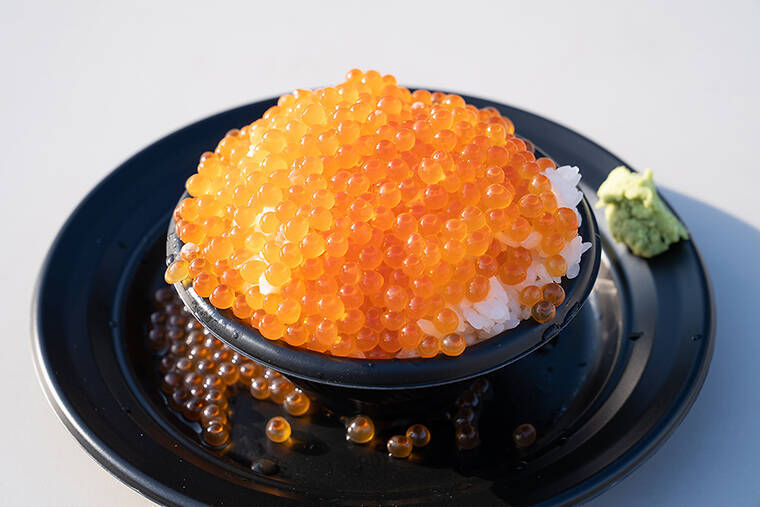 日本各地の魚介料理が集結！日比谷公園で開催中の「全国魚市場＆魚河岸まつり」おすすめ店舗をご紹介