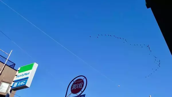 「都内に入ります　【駅ぶら01】小田急江ノ島線33」の画像